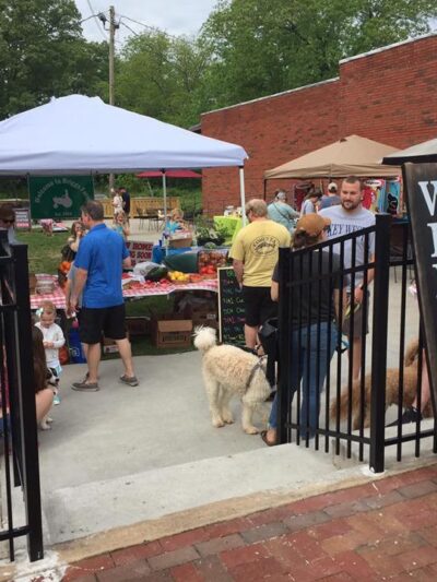 Ball Ground Hounds - Ball Ground, GA