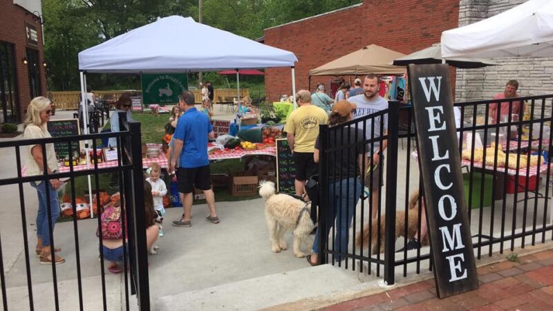 Ball Ground Hounds - Ball Ground, GA