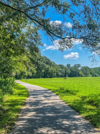 Eagle's Beak Park - Ball Ground, GA