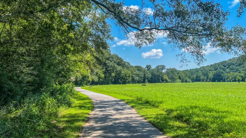 Eagle's Beak Park - Ball Ground, GA
