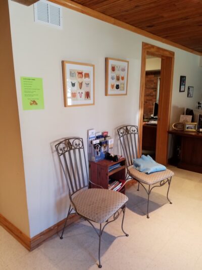 Georgia Animal Project - Ball Ground, GA