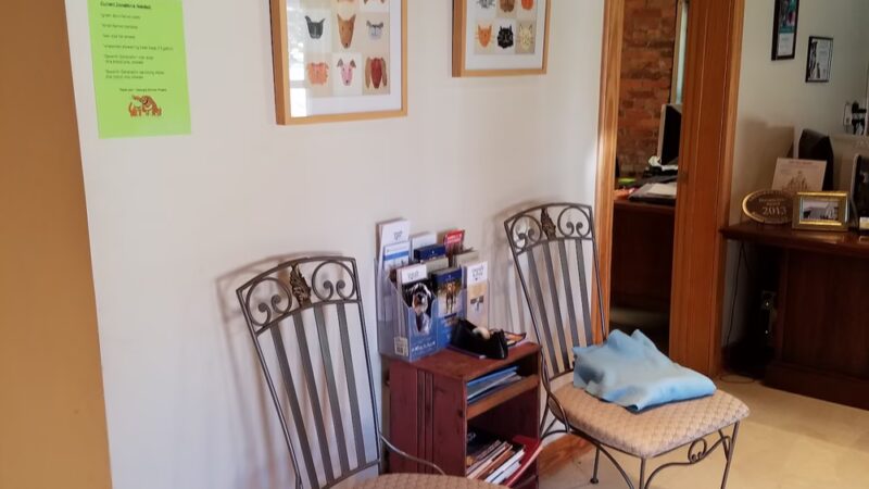 Georgia Animal Project - Ball Ground, GA