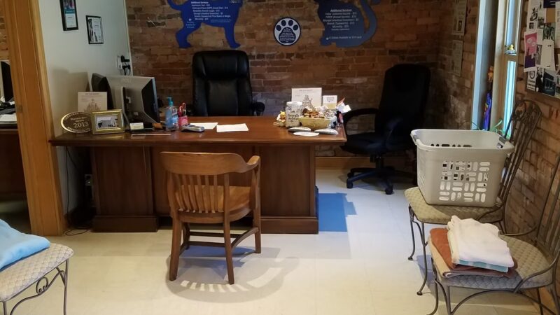 Georgia Animal Project - Ball Ground, GA