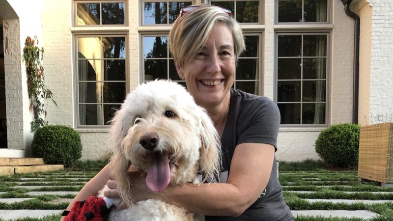 Paws At Play Dog Boarding and Training - Ball Ground, GA