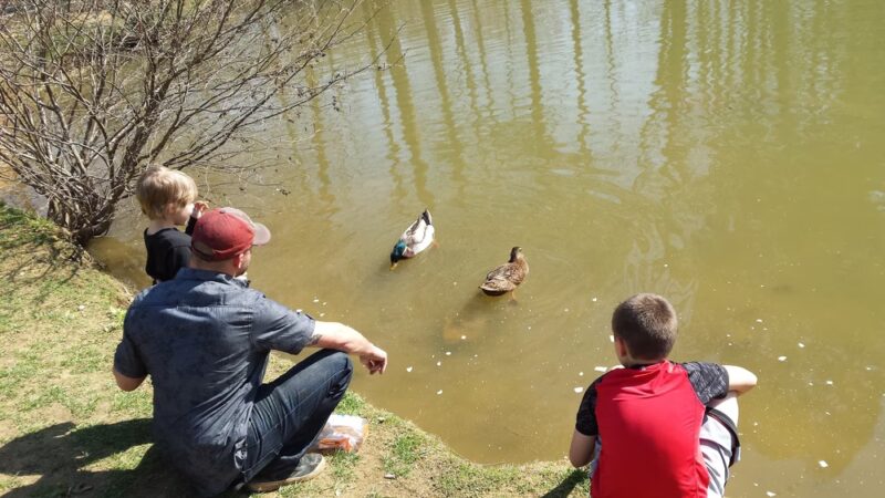 Picnic Pavilion - Ball Ground, GA