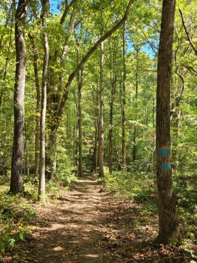 Robert’s Lake Trailhead - Ball Ground, GA