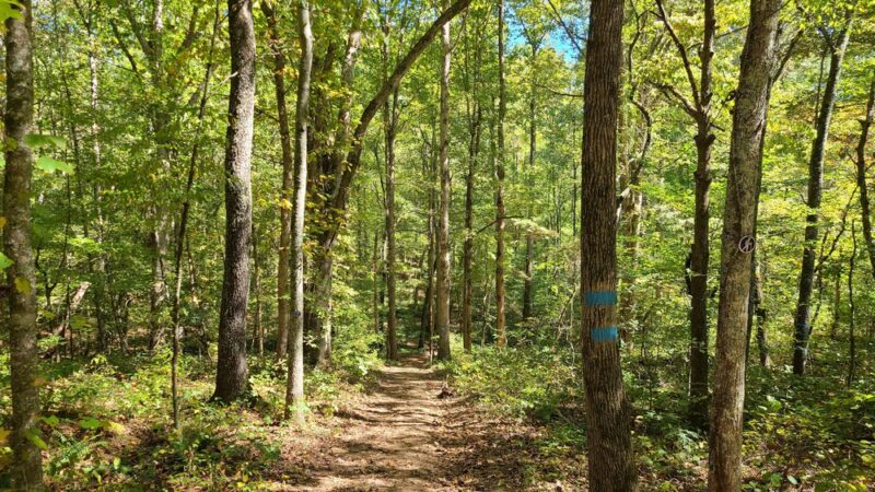 Robert’s Lake Trailhead - Ball Ground, GA