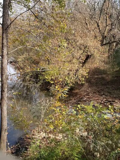 Robert’s Lake Trailhead - Ball Ground, GA