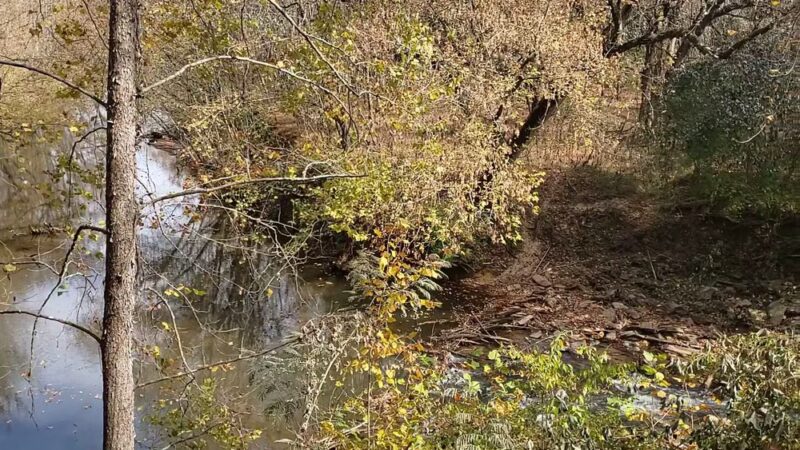 Robert’s Lake Trailhead - Ball Ground, GA