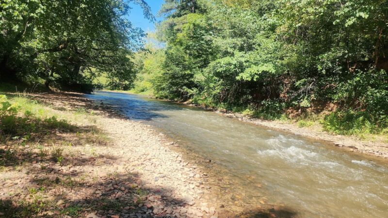 Robert’s Lake Trailhead - Ball Ground, GA