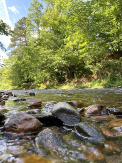 Robert’s Lake Trailhead - Ball Ground, GA