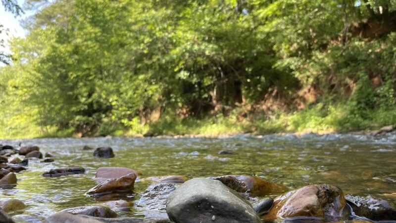 Robert’s Lake Trailhead - Ball Ground, GA