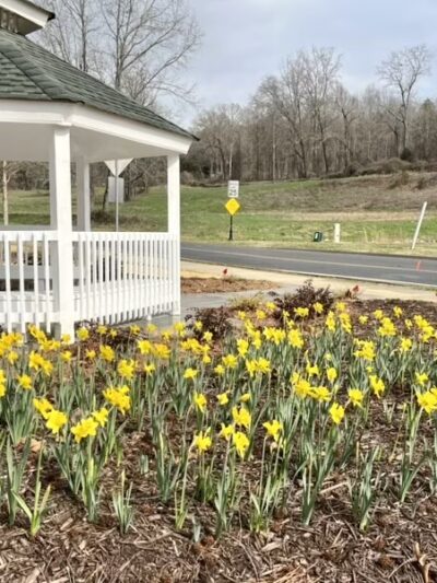 Valley Street Linear Park - Ball Ground, GA