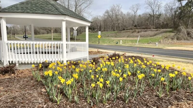 Valley Street Linear Park - Ball Ground, GA