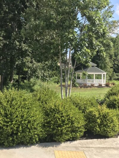 Valley Street Linear Park - Ball Ground, GA