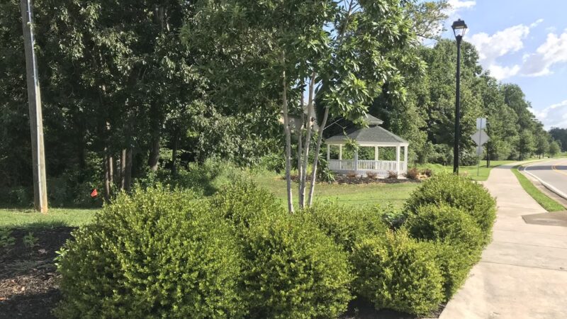 Valley Street Linear Park - Ball Ground, GA