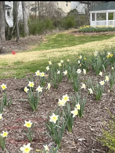 Valley Street Linear Park - Ball Ground, GA