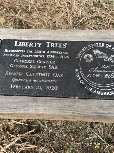 Valley Street Linear Park - Ball Ground, GA