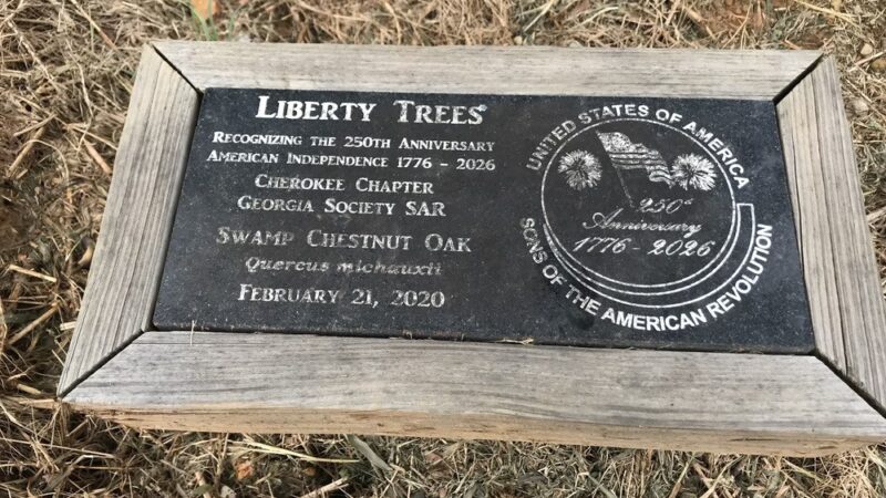 Valley Street Linear Park - Ball Ground, GA