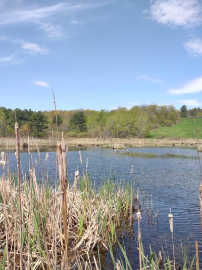 Essex Woods - Bangor, ME
