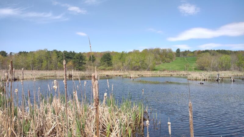 Essex Woods - Bangor, ME