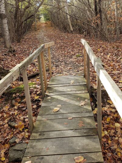 Essex Woods - Bangor, ME