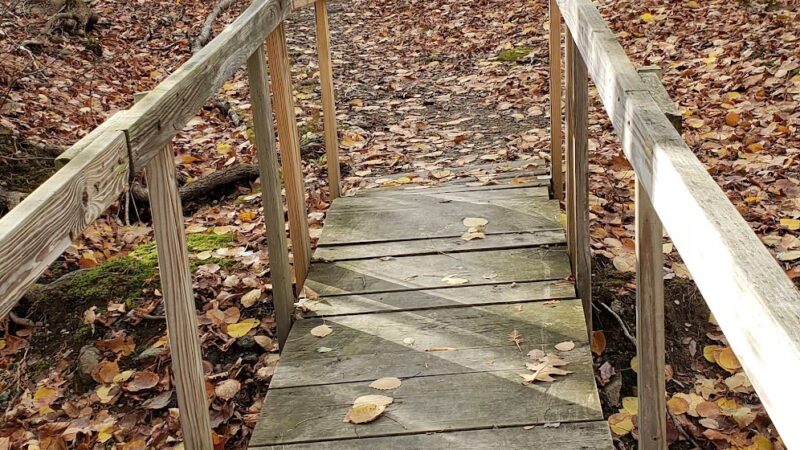 Essex Woods - Bangor, ME