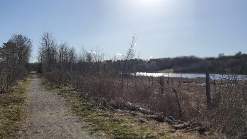 Essex Woods - Bangor, ME