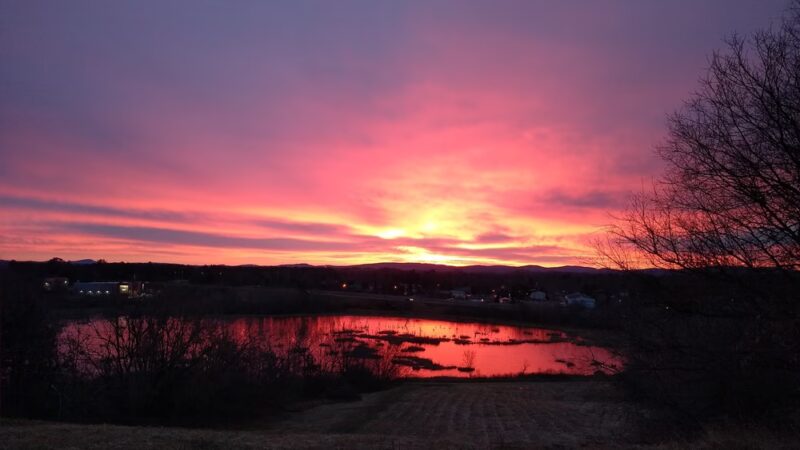 Essex Woods - Bangor, ME