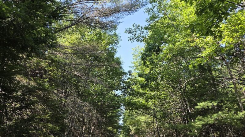 Walden-Parke Preserve - Bangor, ME