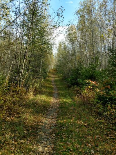 Walden-Parke Preserve - Bangor, ME