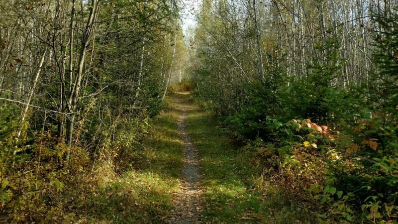 Walden-Parke Preserve - Bangor, ME