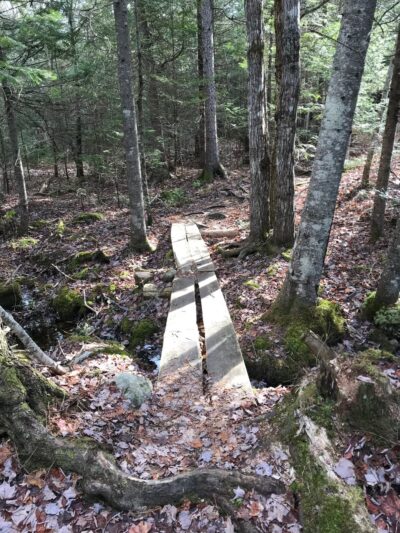 Walden-Parke Preserve - Bangor, ME