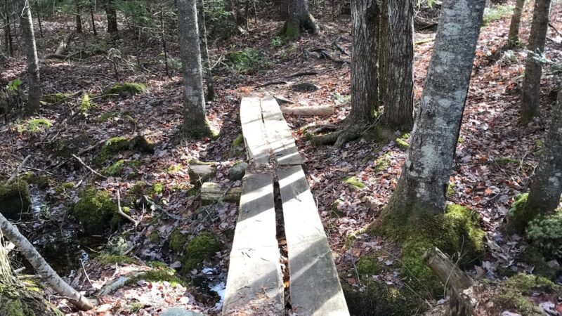 Walden-Parke Preserve - Bangor, ME