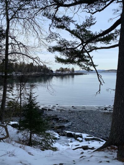 Compass Harbor Trailhead - Bar Harbor, ME