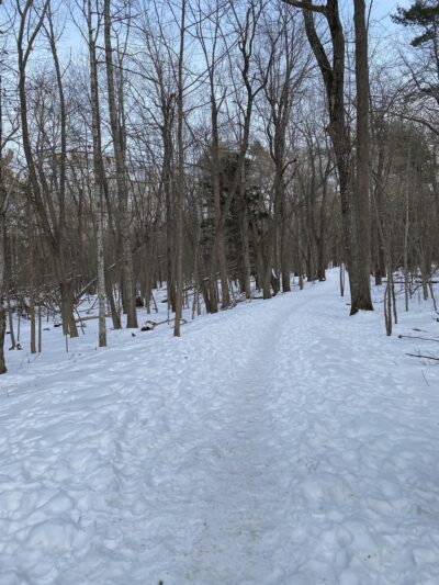 Compass Harbor Trailhead - Bar Harbor, ME