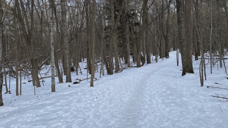 Compass Harbor Trailhead - Bar Harbor, ME