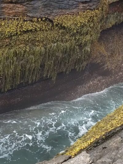 Thunder Hole - Bar Harbor, ME