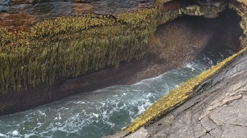 Thunder Hole - Bar Harbor, ME