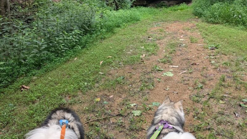 Barboursville Park - Barboursville, WV