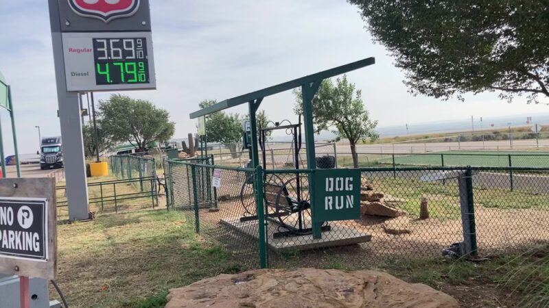 Russell’s dog park - Bard, NM