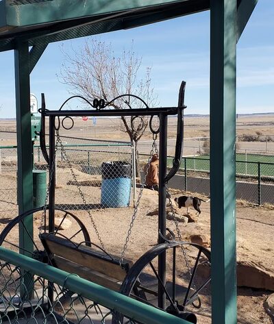 Russell’s dog park - Bard, NM
