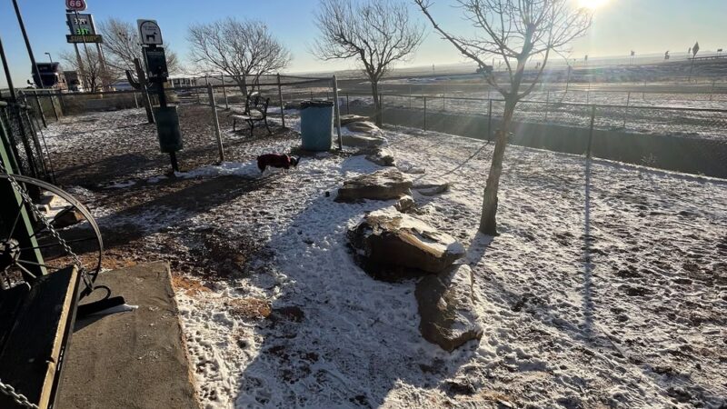 Russell’s dog park - Bard, NM