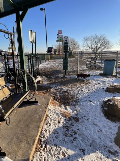 Russell’s dog park - Bard, NM