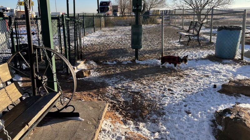 Russell’s dog park - Bard, NM