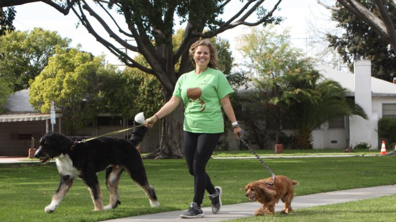 BarksNpurrs Petcare & Spa - ,