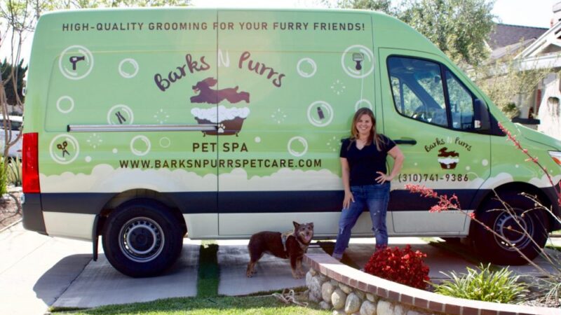 BarksNpurrs Petcare & Spa - ,