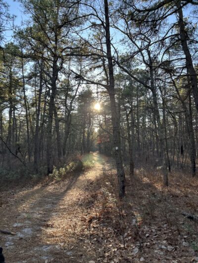 Lochiel Creek County Park - Barnegat, NJ