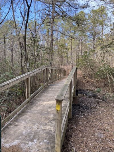 Lochiel Creek County Park - Barnegat, NJ