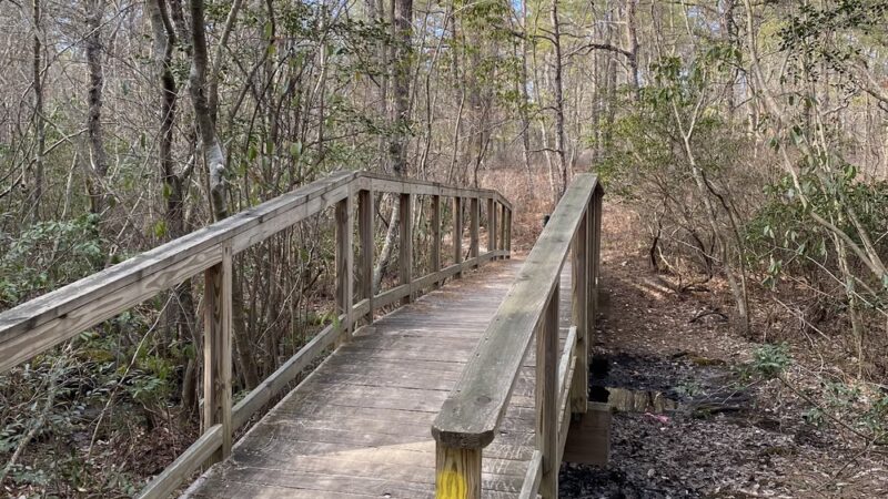 Lochiel Creek County Park - Barnegat, NJ